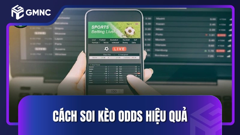 Cách soi kèo odds hiệu quả